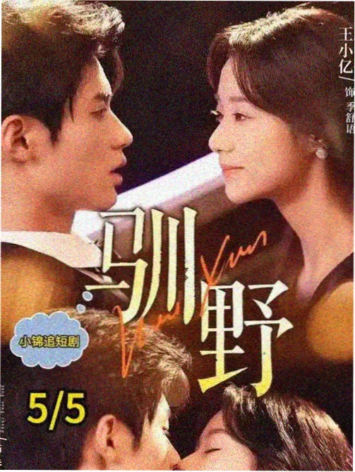 旧书店的密码悬疑韩剧